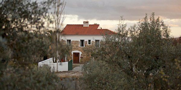 Casa Velha Cernache Do Bonjardim 10 Fotos E Avaliacoes Tripadvisor [ 300 x 600 Pixel ]