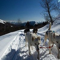 Escursione in slitta