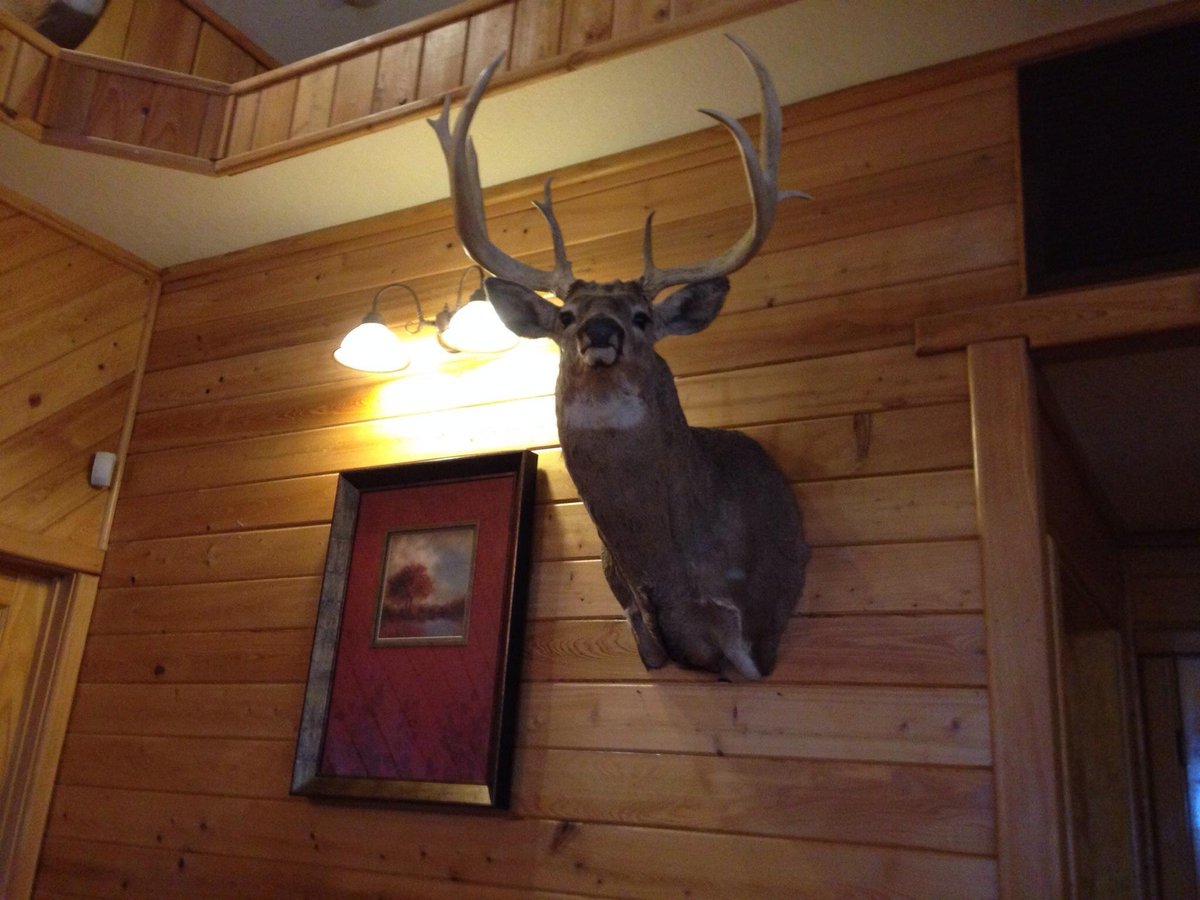 BIG WOOD BBQ AND GRILL, Live Oak - Menu, Prices & Restaurant Reviews ...