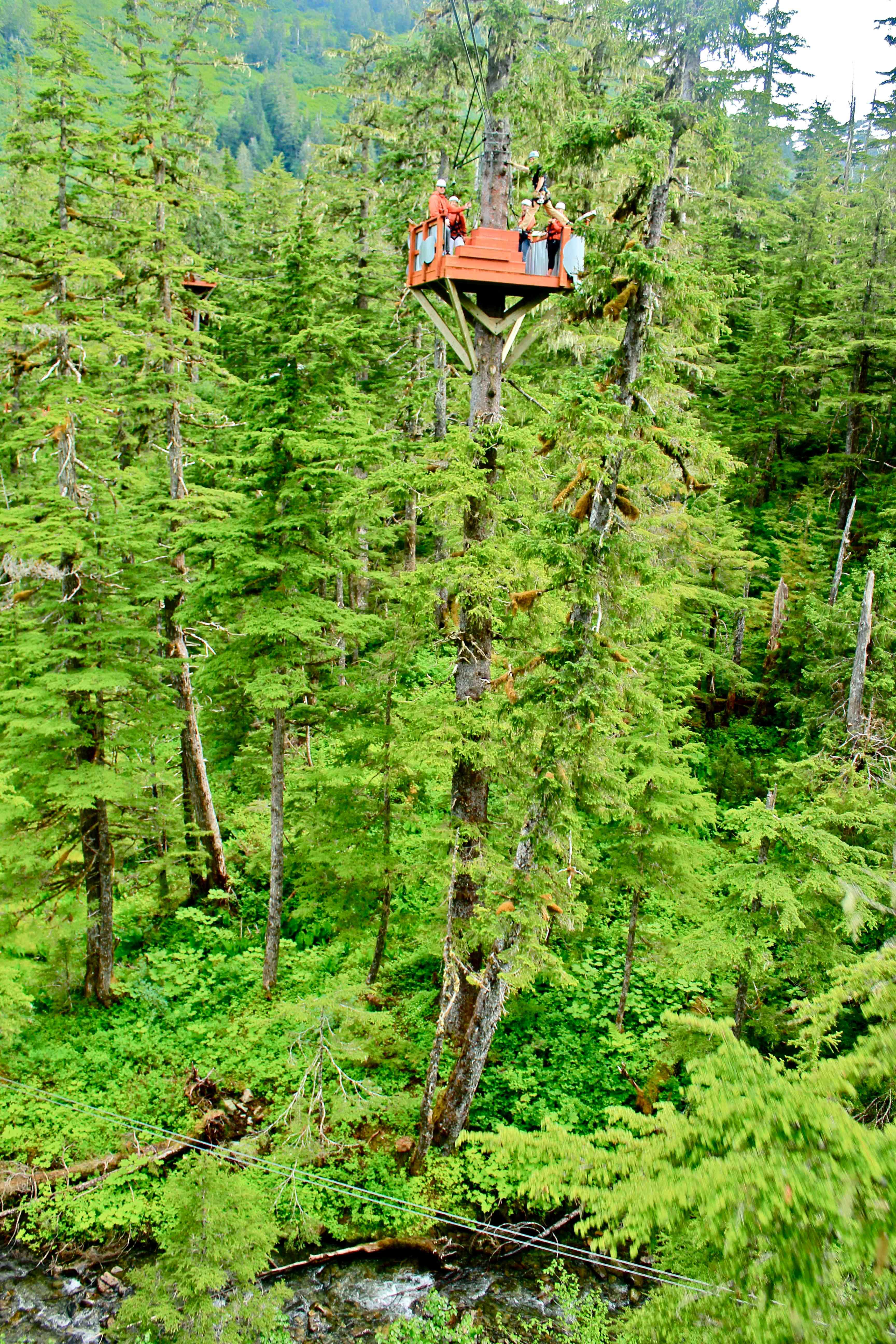 ALASKA ZIPLINE ADVENTURES Juneau 2023 What To Know BEFORE You Go   High In The Sky 