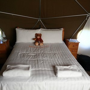 Comfy Bed (teddy mine)