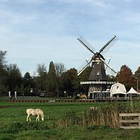 Amazing Windmill