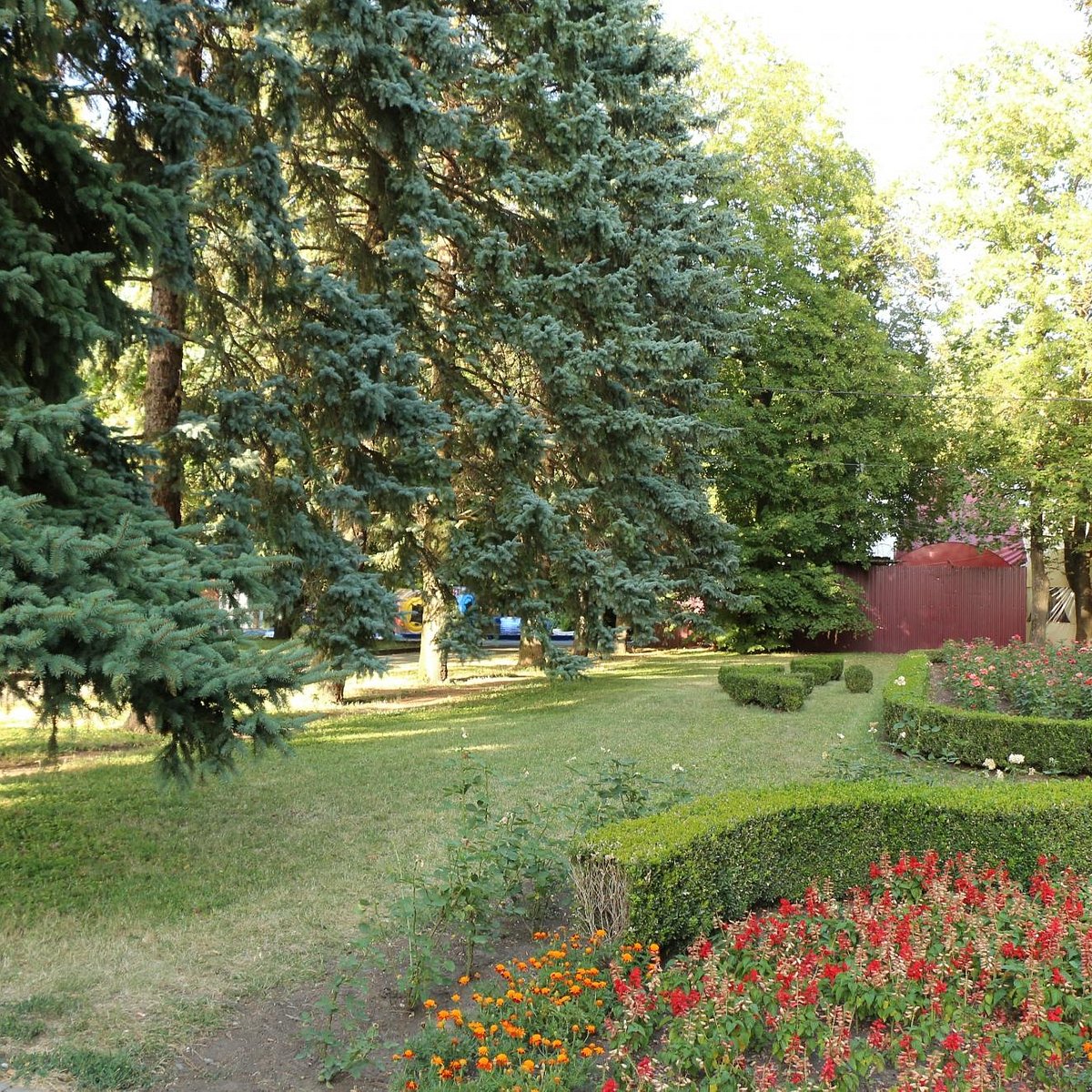 Ставрополь Центральный парк растительные сообщества