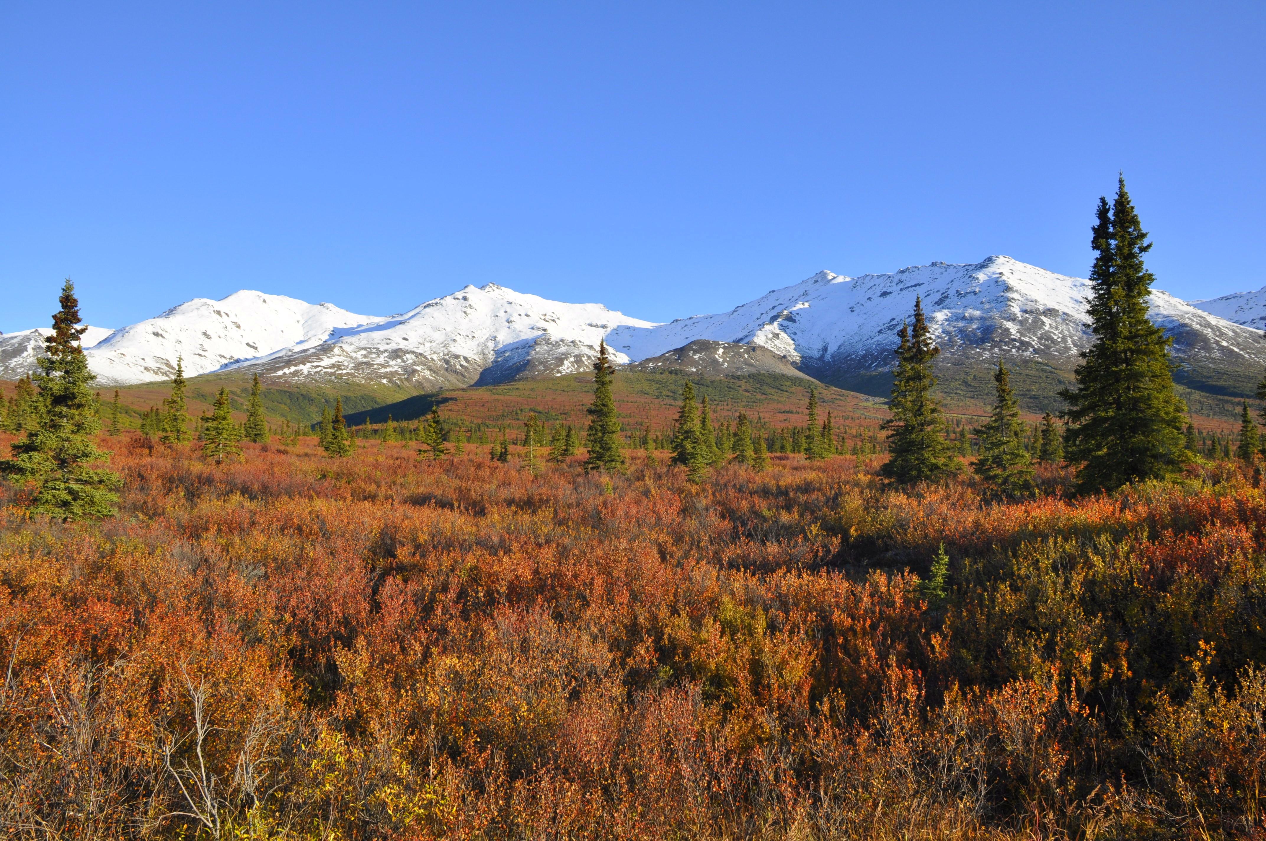 Denali trails outlet