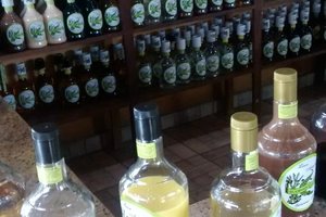 Bebidas
