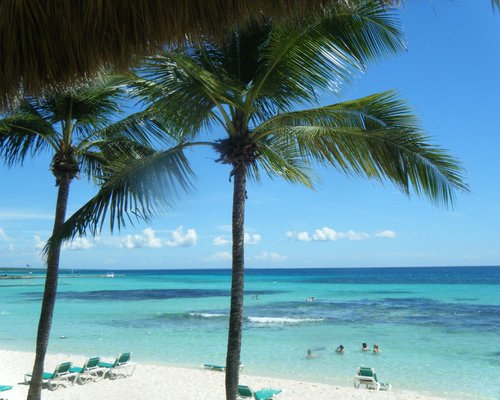 Playa Publica Dominicus
