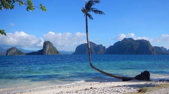 Taken from pinagbuyutan island