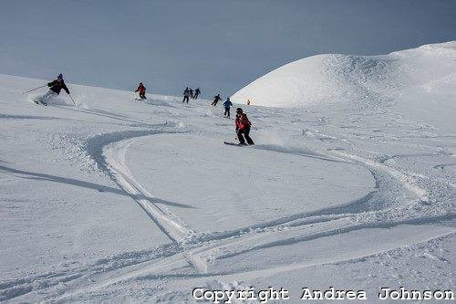 Skiing the endless virgin powder