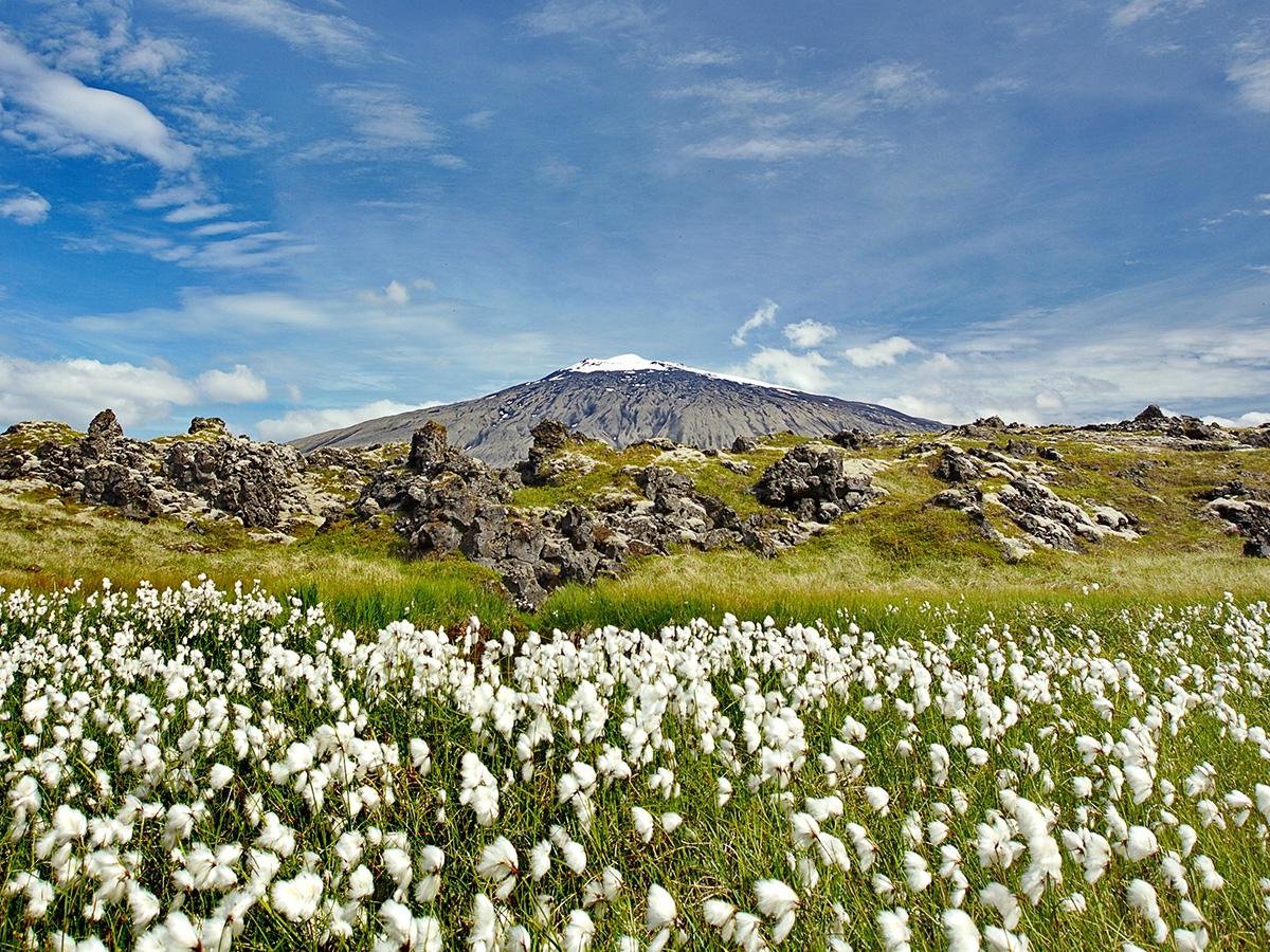 The Wonders of Snaefellsnes, Рейкьявик: лучшие советы перед посещением -  Tripadvisor