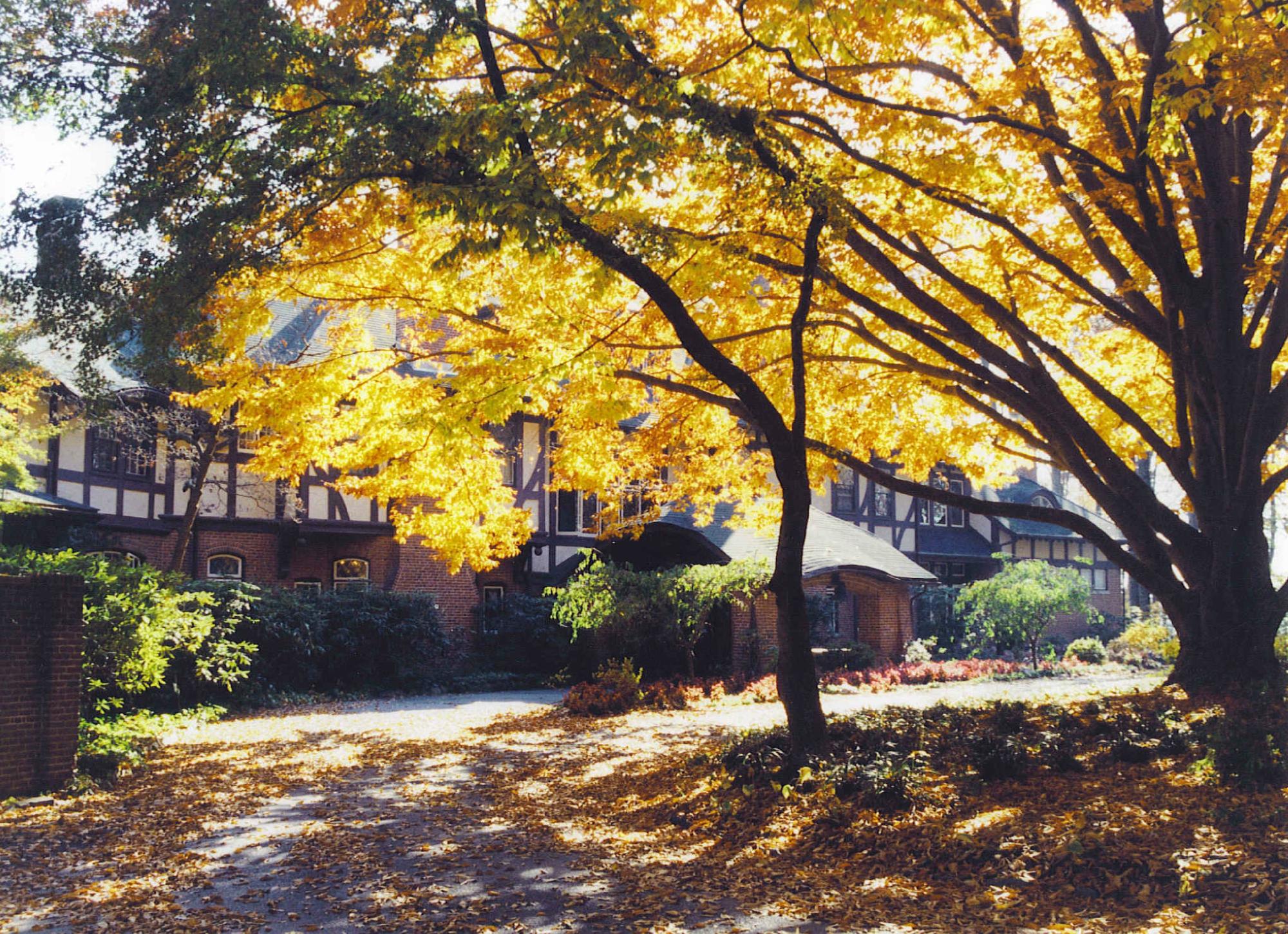 Hotel photo 4 of Gramercy Mansion.