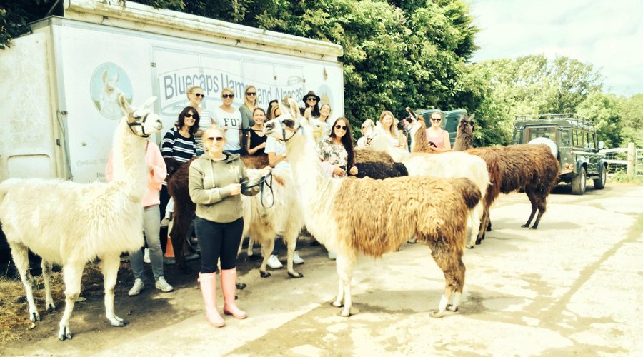 Hen party
