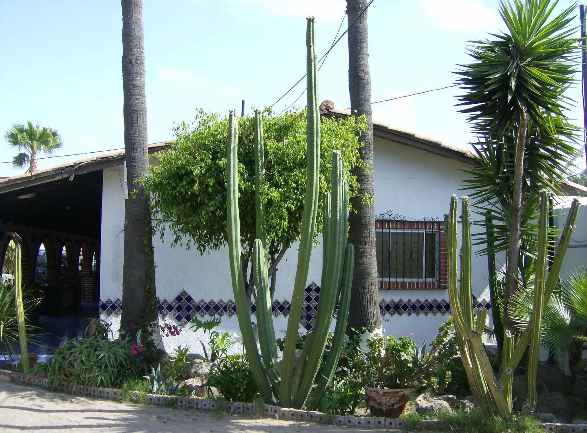 Hotel Hacienda Corteza image