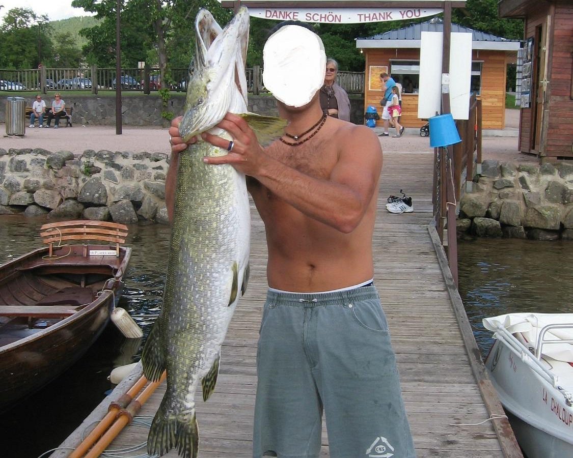 Predator fishing by boat in the Vosges and Lorraine