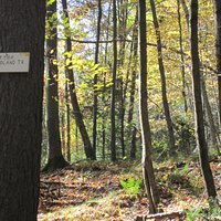 Start of Woodland Trail