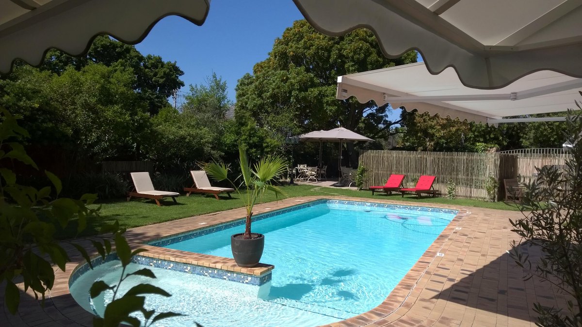 Wild Olive Guest House 59 ̶7̶4̶ Updated 2022 Prices And Reviews Newlands Cape Town South 4233