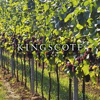 The Vineyard