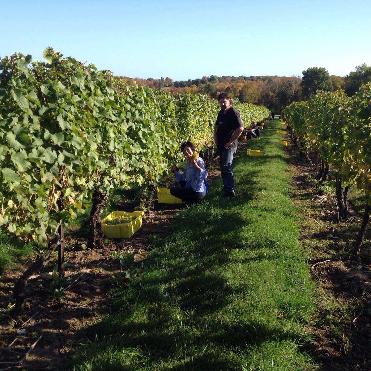 best wineries in stonington ct - Bambi Hallman