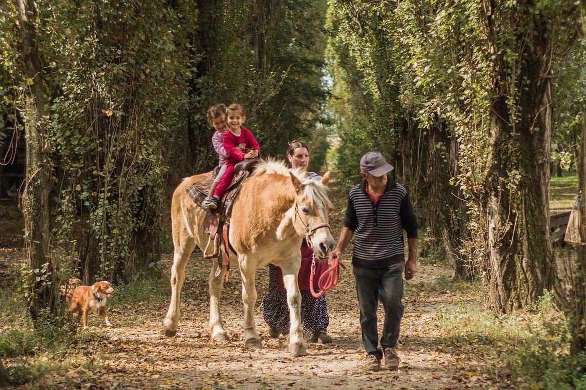 La Vecchia Fattoria, Bonavicina: лучшие советы перед посещением -  Tripadvisor