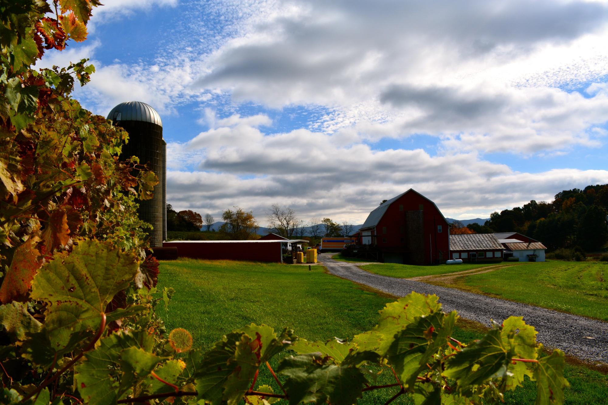 Winery and brewery store near me