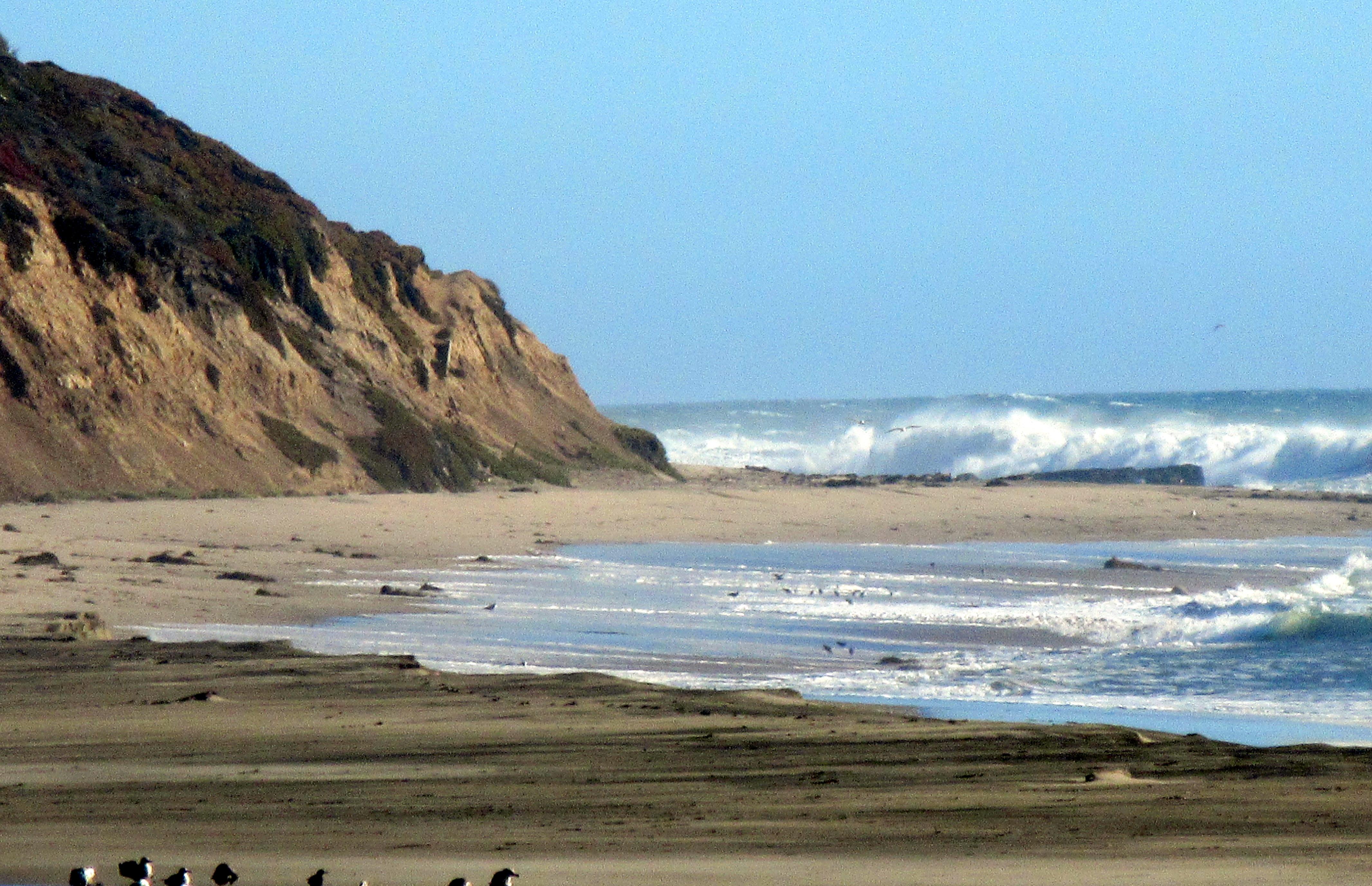 WADDELL BEACH All You Need to Know BEFORE You Go with Photos