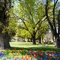 Park scape