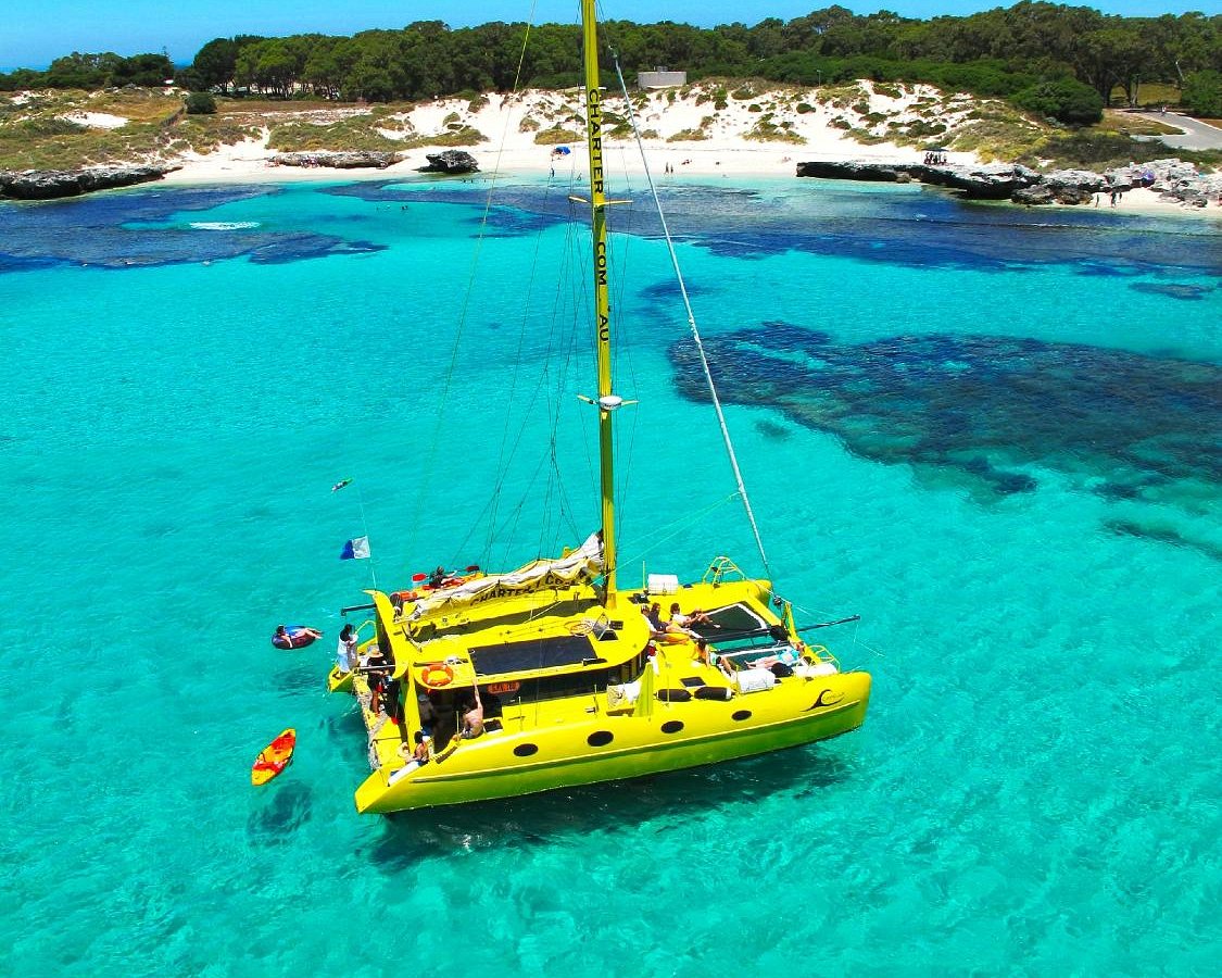 ningaloo discovery catamaran