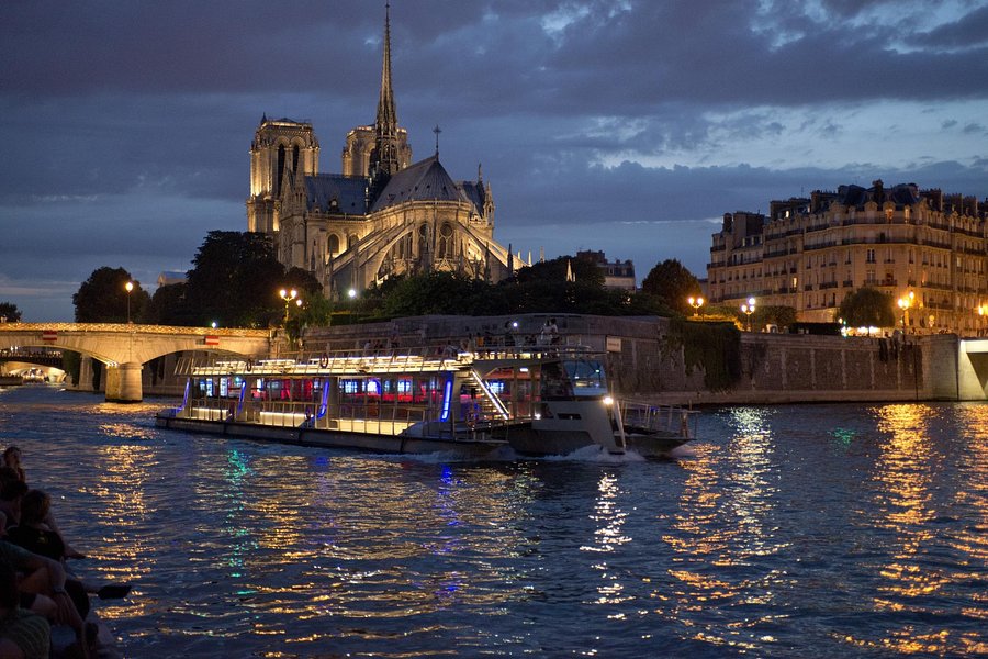 seine cruise bateaux parisiens