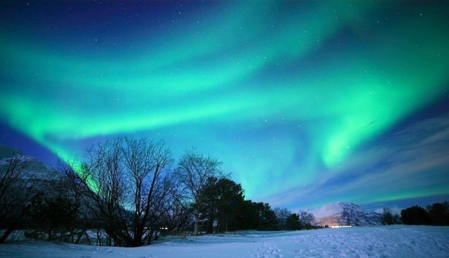 Nice Aurora picture at the campsite, by Esdras Neto