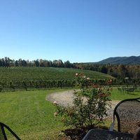 Round Peak Vineyard - All You Need to Know BEFORE You Go (2024)