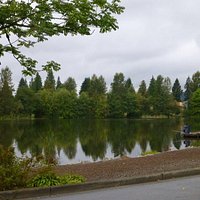 quietly fishing