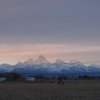 travellersimple