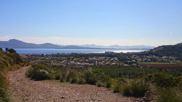 Imagen 3 de Playa del Puerto de Pollensa