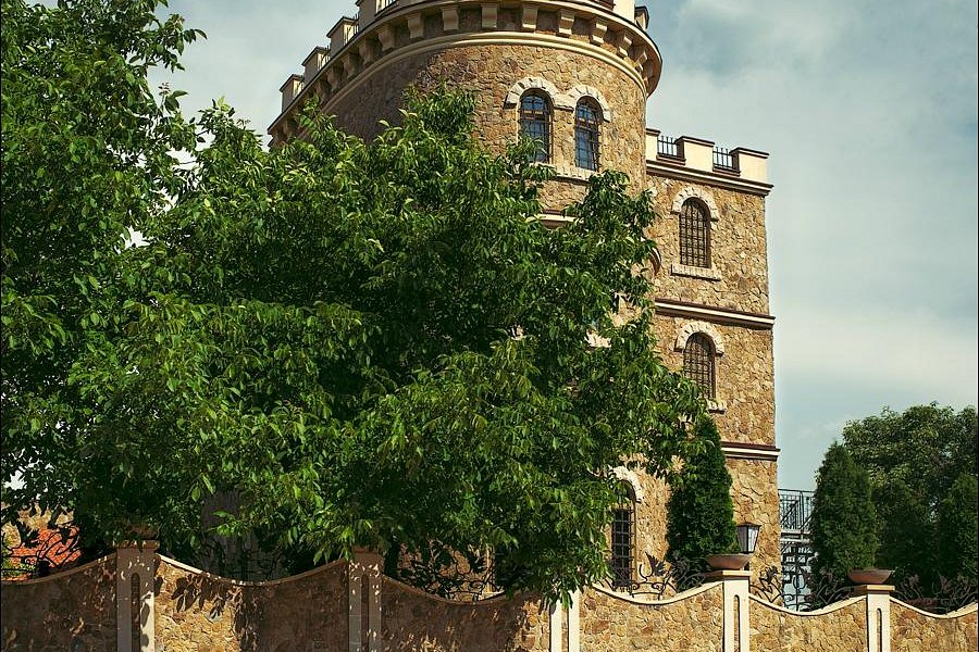 Chateau Cojusna image