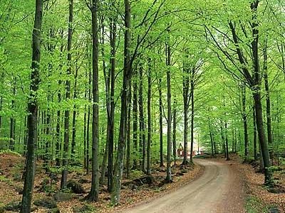 Vandra och njut av vår fina natur med vandringsleder