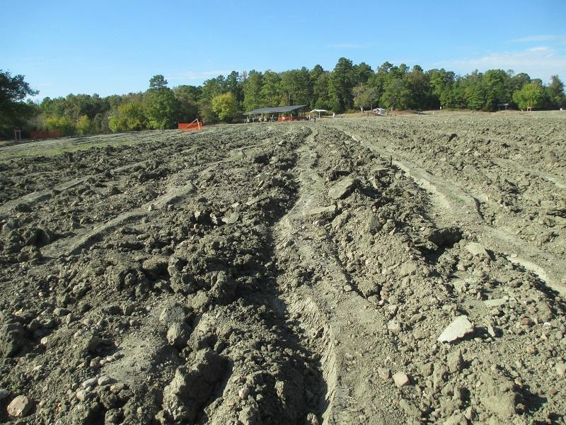 Diamond clearance mine park