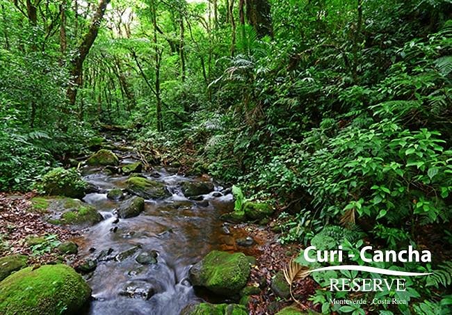 Curi Cancha Reserve image