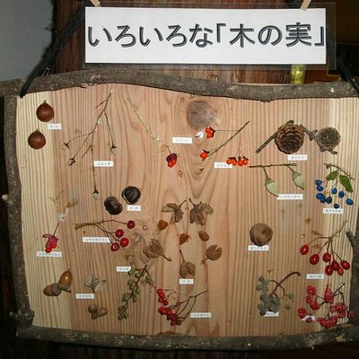21年 鏡野町で絶対外さないおすすめ観光スポットトップ10 定番から穴場まで トリップアドバイザー 21年 鏡野町で絶対外さないおすすめ観光スポットトップ10 定番から穴場まで トリップアドバイザー