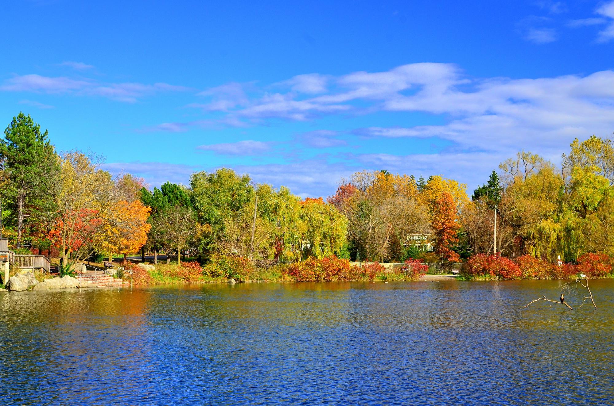 Toogood Pond Park (Unionville) - All You Need to Know BEFORE You Go