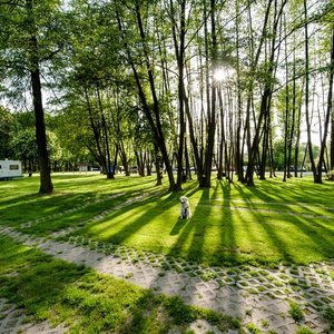 Campsite
