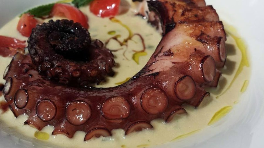 polpo arrostito con crema di cannellini