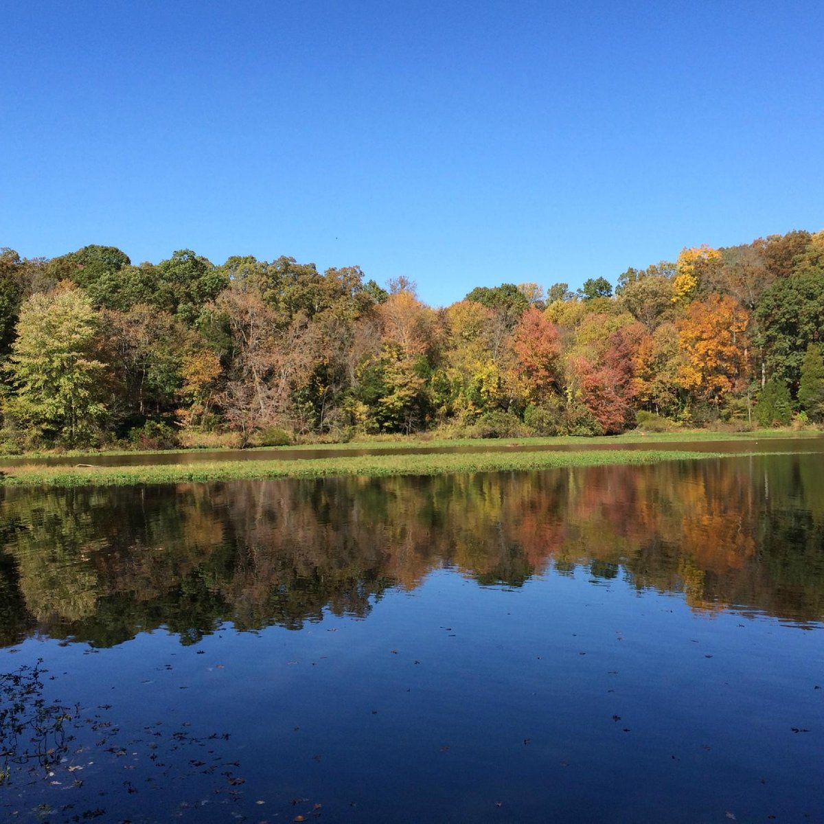 Lake Fairfax Park (Reston) - All You Need to Know BEFORE You Go