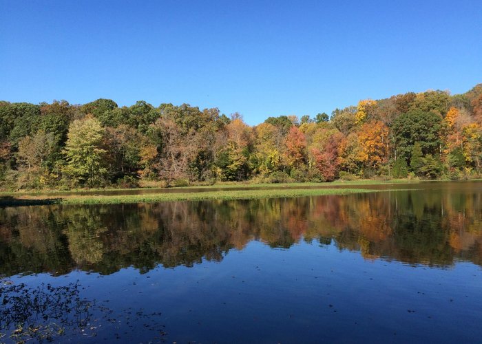Autumn colours at Lake Fairfax