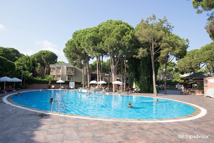 livestock Tub To disable PINE BEACH BELEK - Updated 2022 Prices & Hotel Reviews (Turkey - Antalya Province) livestock Tub To disable PINE BEACH BELEK - Updated 2022 Prices & Hotel Reviews (Turkey - Antalya Province)