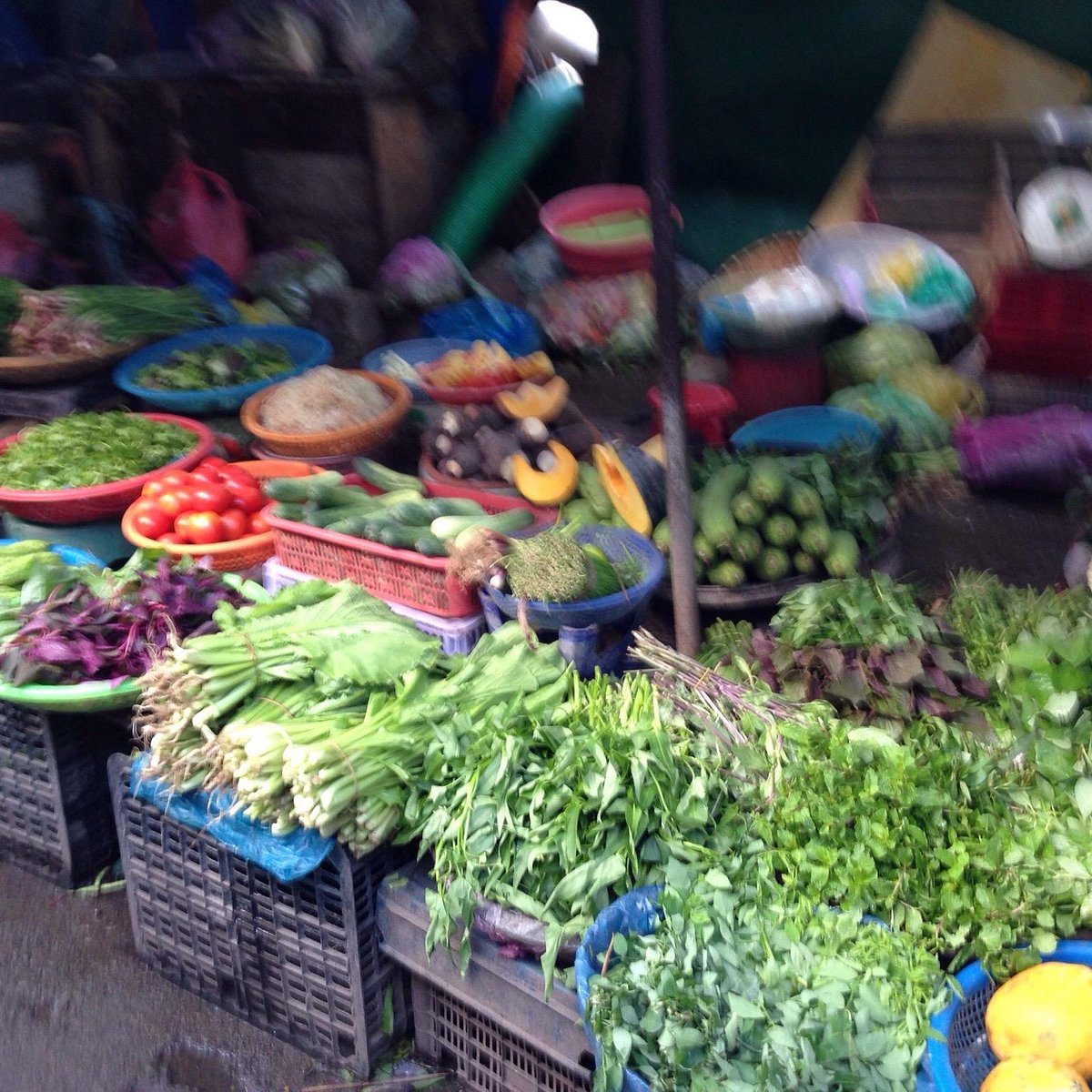 Dam Market, Нячанг: лучшие советы перед посещением - Tripadvisor