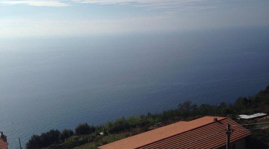 Vista lato giardino