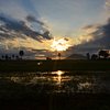 SunChasing4ever