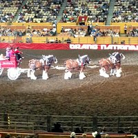 Cow Palace - October 2014 Grand National Rodeo - Daly City, CA