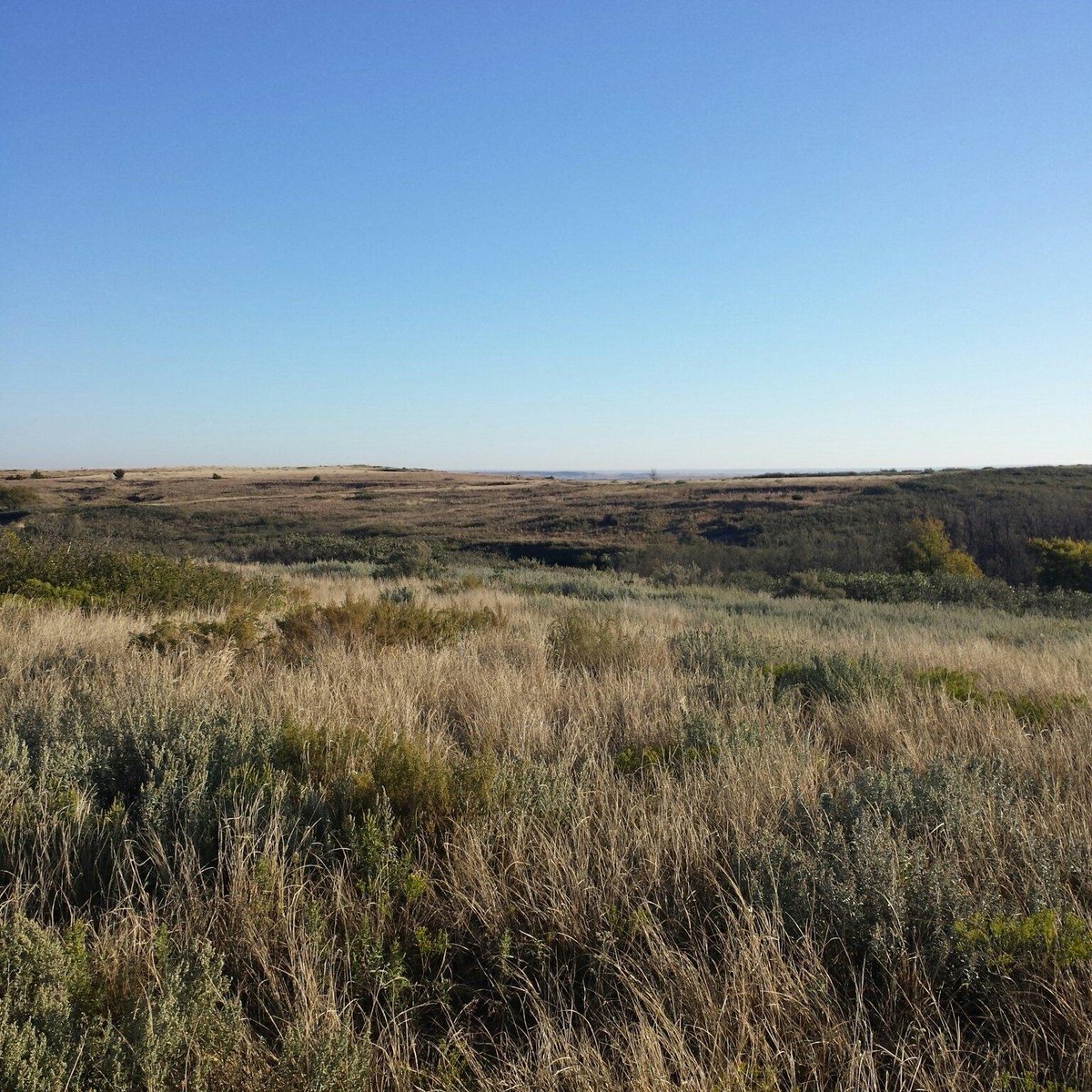 Black Kettle National Grassland (Cheyenne) Aktuelle 2021 Lohnt es