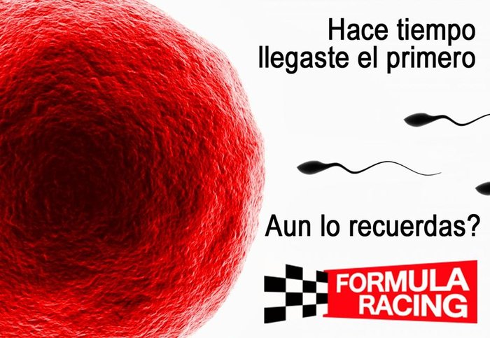 Imagen 9 de Formula Racing