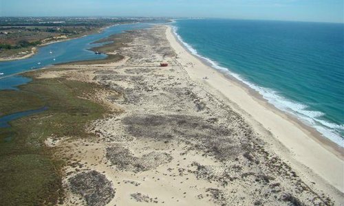 Beach areal view